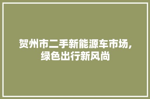 贺州市二手新能源车市场,绿色出行新风尚