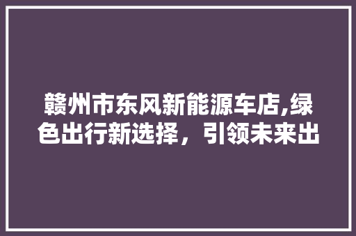 赣州市东风新能源车店,绿色出行新选择，引领未来出行潮流