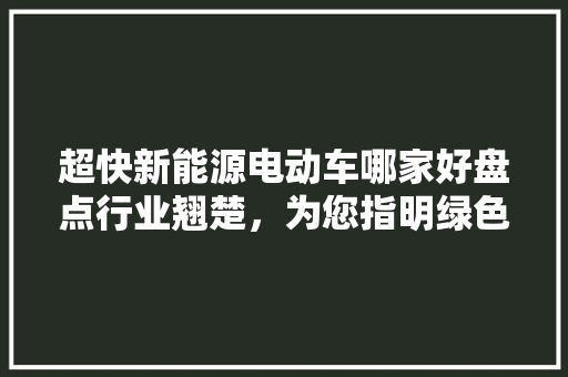 超快新能源电动车哪家好盘点行业翘楚，为您指明绿色出行新方向