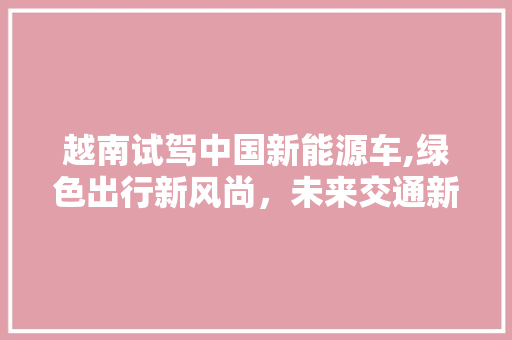 越南试驾中国新能源车,绿色出行新风尚，未来交通新篇章