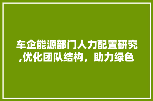 车企能源部门人力配置研究,优化团队结构，助力绿色出行