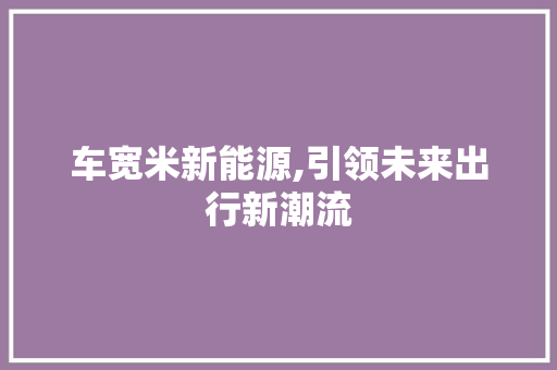 车宽米新能源,引领未来出行新潮流