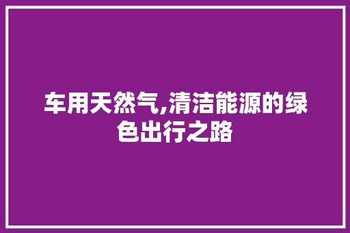 车用天然气,清洁能源的绿色出行之路