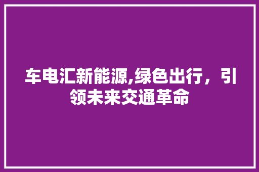 车电汇新能源,绿色出行，引领未来交通革命  第1张