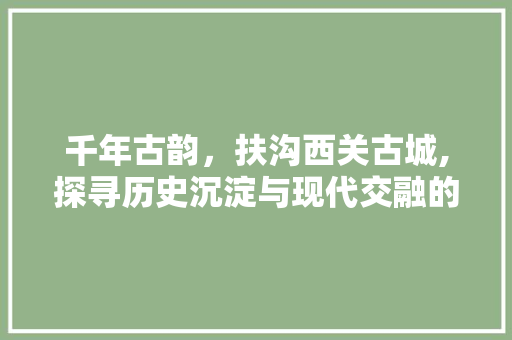 千年古韵，扶沟西关古城,探寻历史沉淀与现代交融的奇迹