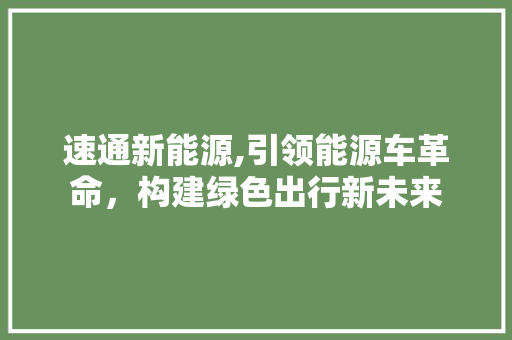 速通新能源,引领能源车革命，构建绿色出行新未来