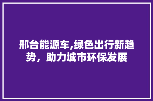 邢台能源车,绿色出行新趋势，助力城市环保发展