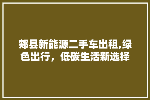 郏县新能源二手车出租,绿色出行，低碳生活新选择