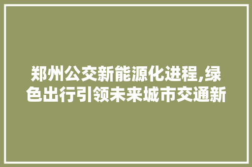 郑州公交新能源化进程,绿色出行引领未来城市交通新风尚