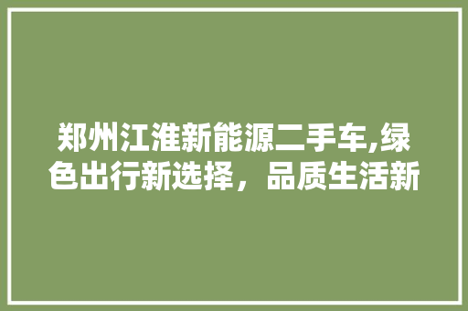 郑州江淮新能源二手车,绿色出行新选择，品质生活新篇章