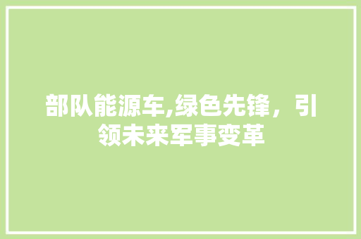 部队能源车,绿色先锋，引领未来军事变革