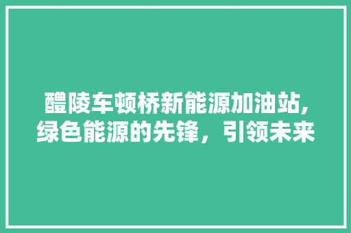 醴陵车顿桥新能源加油站,绿色能源的先锋，引领未来出行新风尚  第1张