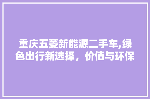 重庆五菱新能源二手车,绿色出行新选择，价值与环保兼顾  第1张