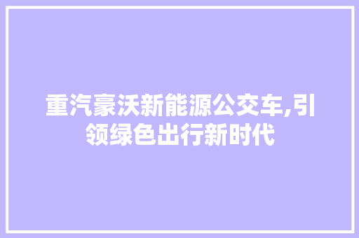 重汽豪沃新能源公交车,引领绿色出行新时代