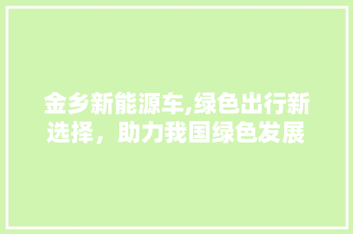 金乡新能源车,绿色出行新选择，助力我国绿色发展