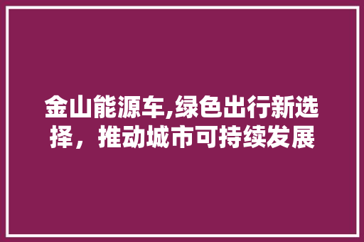 金山能源车,绿色出行新选择，推动城市可持续发展