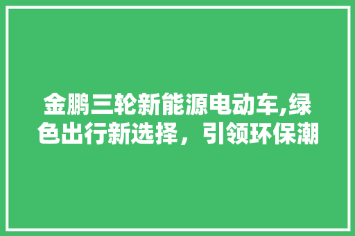 金鹏三轮新能源电动车,绿色出行新选择，引领环保潮流