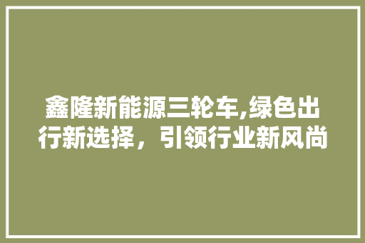 鑫隆新能源三轮车,绿色出行新选择，引领行业新风尚