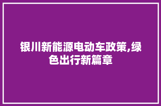 银川新能源电动车政策,绿色出行新篇章  第1张