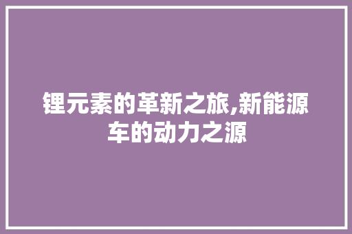 锂元素的革新之旅,新能源车的动力之源