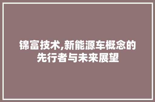 锦富技术,新能源车概念的先行者与未来展望