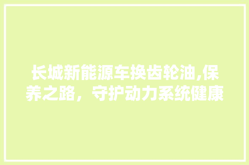 长城新能源车换齿轮油,保养之路，守护动力系统健康