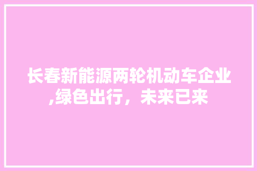 长春新能源两轮机动车企业,绿色出行，未来已来