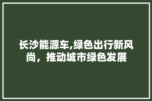 长沙能源车,绿色出行新风尚，推动城市绿色发展