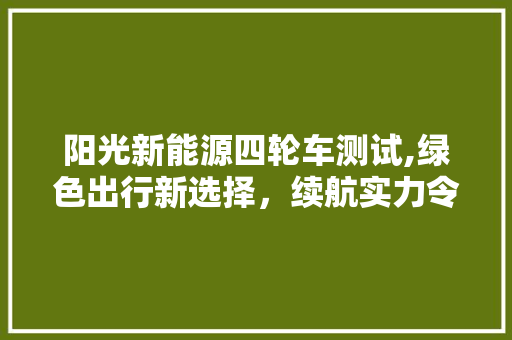 阳光新能源四轮车测试,绿色出行新选择，续航实力令人瞩目