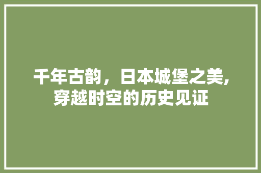 千年古韵，日本城堡之美,穿越时空的历史见证