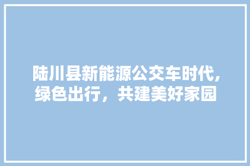 陆川县新能源公交车时代,绿色出行，共建美好家园