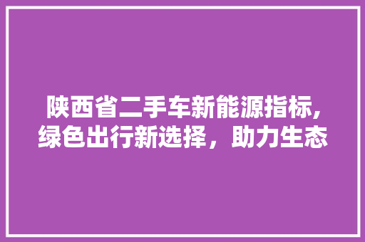 陕西省二手车新能源指标,绿色出行新选择，助力生态文明