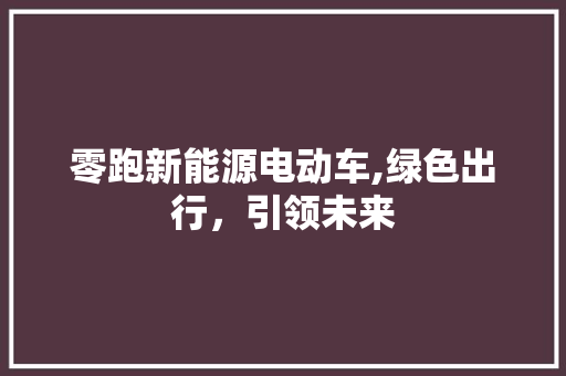 零跑新能源电动车,绿色出行，引领未来