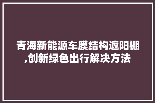 青海新能源车膜结构遮阳棚,创新绿色出行解决方法