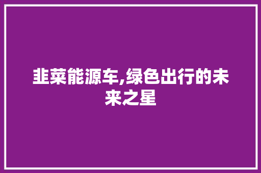 韭菜能源车,绿色出行的未来之星