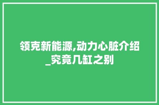 领克新能源,动力心脏介绍_究竟几缸之别