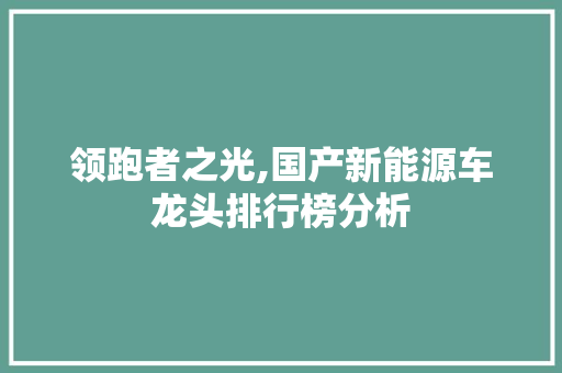 领跑者之光,国产新能源车龙头排行榜分析