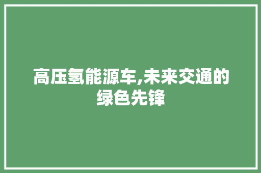 高压氢能源车,未来交通的绿色先锋