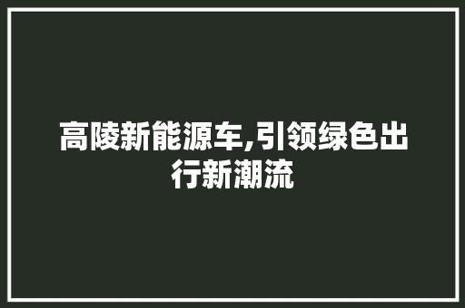 高陵新能源车,引领绿色出行新潮流