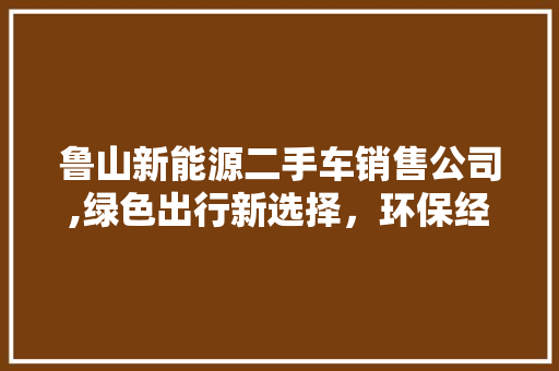 鲁山新能源二手车销售公司,绿色出行新选择，环保经济两不误  第1张