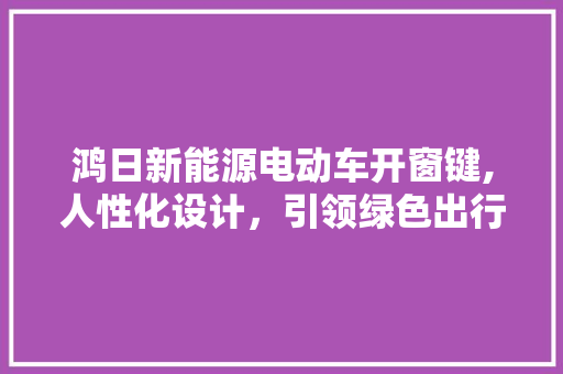 鸿日新能源电动车开窗键,人性化设计，引领绿色出行新风尚