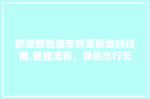 鹤壁新能源车购置税缴纳指南,便捷流程，绿色出行无忧