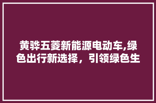 黄骅五菱新能源电动车,绿色出行新选择，引领绿色生活新风尚