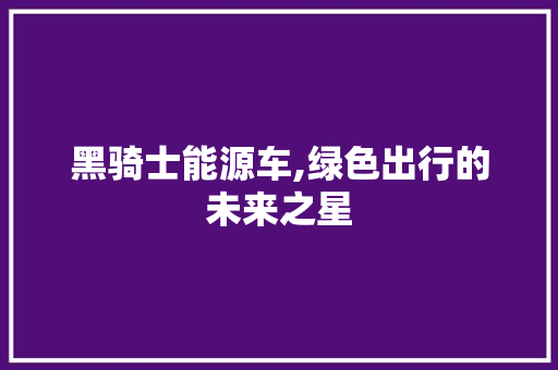 黑骑士能源车,绿色出行的未来之星