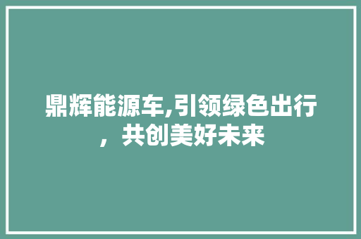 鼎辉能源车,引领绿色出行，共创美好未来