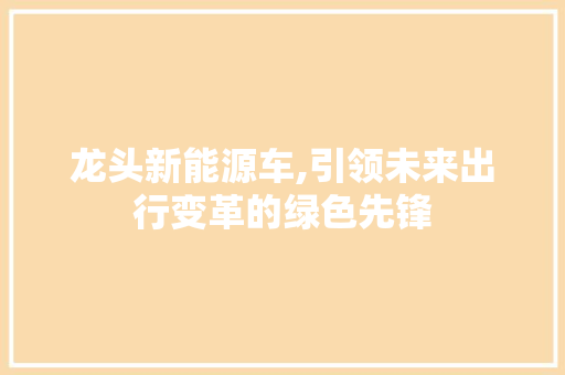 龙头新能源车,引领未来出行变革的绿色先锋