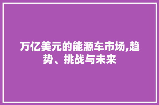 万亿美元的能源车市场,趋势、挑战与未来