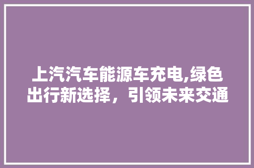 上汽汽车能源车充电,绿色出行新选择，引领未来交通变革  第1张