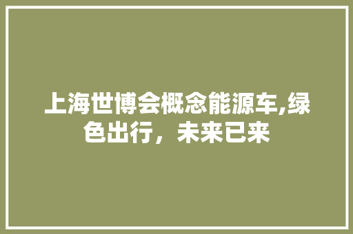 上海世博会概念能源车,绿色出行，未来已来  第1张