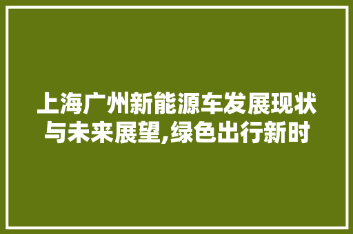 上海广州新能源车发展现状与未来展望,绿色出行新时代的先锋